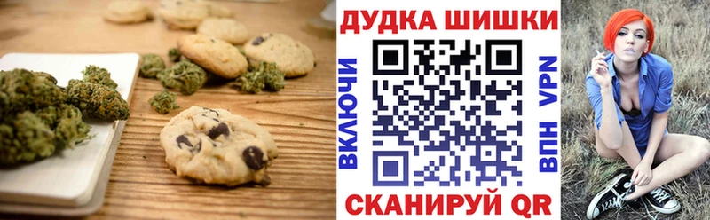 продажа наркотиков  Новомичуринск  Canna-Cookies марихуана 