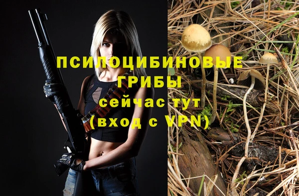 PSILOCYBIN Бронницы