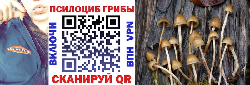 Галлюциногенные грибы Psilocybine cubensis  что такое наркотик  Новомичуринск 